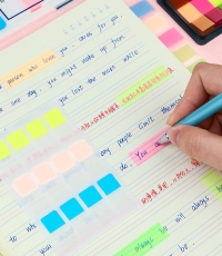 得力9060指示標簽12*44mm(混)*24