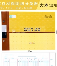 萊特6110庫存材料明細(xì)賬16k 100頁
