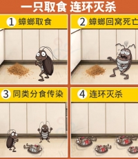 綠葉蟑螂膠餌5g